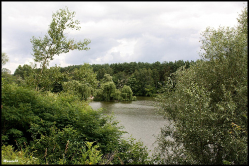 c.d. poznańskiego zoo