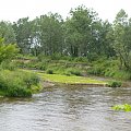 Rezerwat rzeki świder #tapeta #rzeka #świder #warszawski #klimat #przyroda #koryto