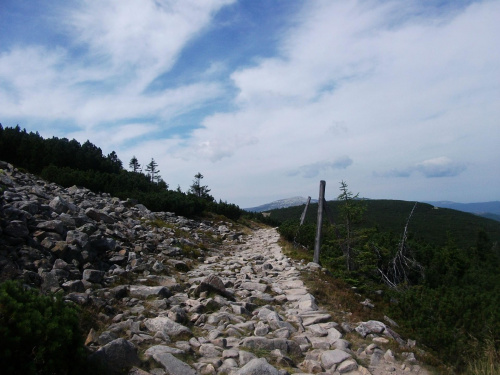 Nasza ludzka droga przez życie,często jest taka jak ta górska,kamienista i trudna.Jednak my potrafimy takimi drogami chodzić.... #Karkonosze #góry