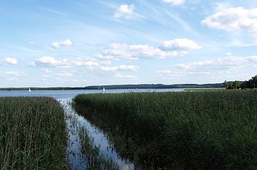 Przesmyk pomiędzy jeziorami - Wigry i Leszczewek #Wigry #jezioro