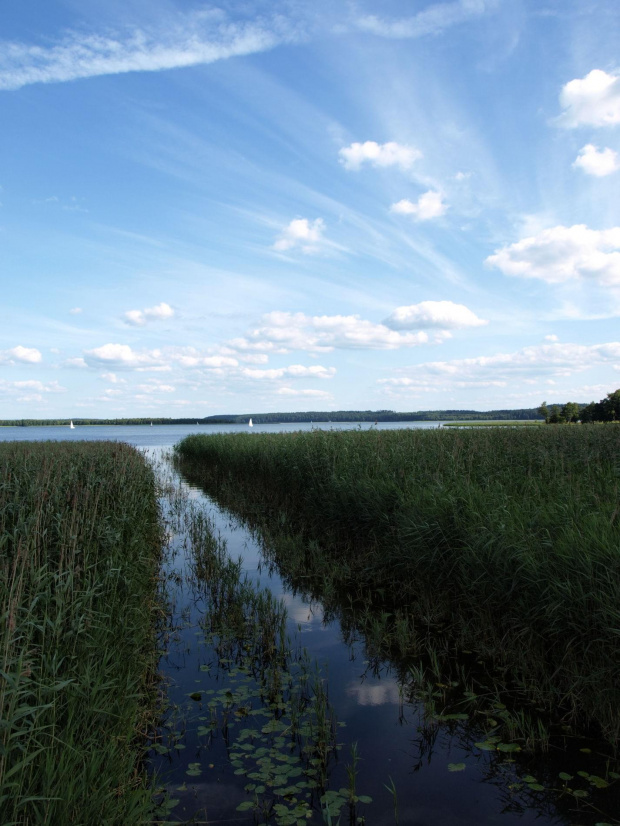 Przesmyk pomiędzy jeziorami - Wigry i Leszczewek #Wigry #jezioro