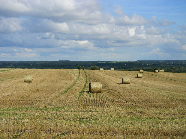 po zbożobraniu