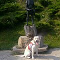 tą Kowalską rzeźbę zbrojnego rycerza wzorowaną na figurze małego – siusiającego chłopca – Manneken Pis – znajdującej się w Brukseli. #galeria #Homer #Labrador #pies #zdjęcia