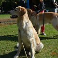Birma