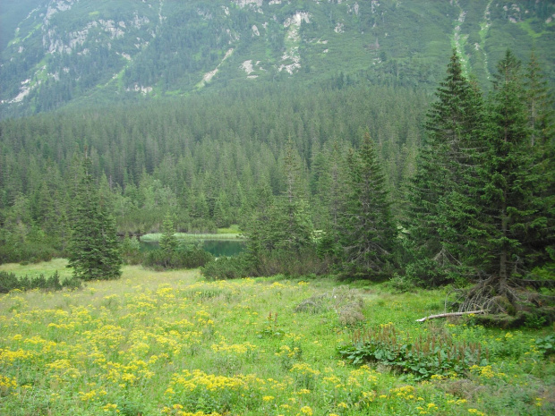 #Tatry