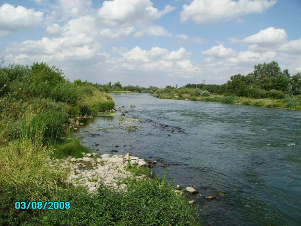 Zdjęcie konkursowe