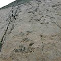 Stópki dinozaurów na skałach Tarasów Dinozaurów