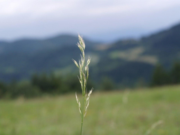 Pieniny #Pieniny #góry