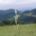 Pieniny #Pieniny #góry