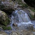 Pieniny #Pieniny #góry