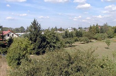 Działka w Starej Iwicznej i jej otoczenie #DziałkaNaSprzedaż #StaraIwiczna