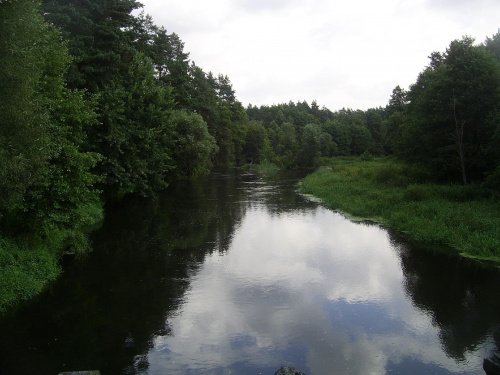 dzieci w Bobrowisku i okolicach sierpien 2009