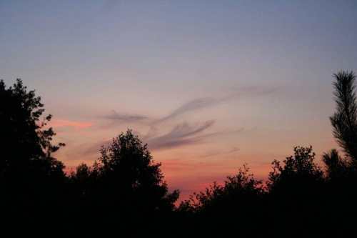 #ZachódSłońca #niebo #las