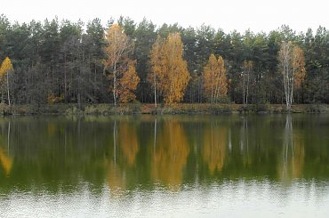 jesien zlota #jesien #las #Listopad #staw