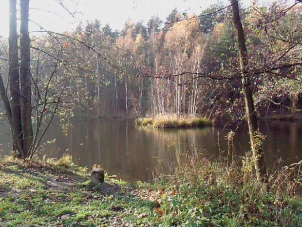 jesień w Arboretum w Raciborzu