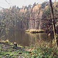 jesień w Arboretum w Raciborzu