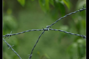 Drut kolczasty
[Olympus E-410, Zuiko Digital 14-42 + soczewka makro +8Dioptrii] #DrutKolczasty #makro #ogrodzenie #płot