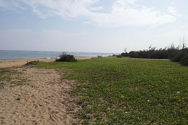 Puttipulam beach #Indie #plaża #świątynia