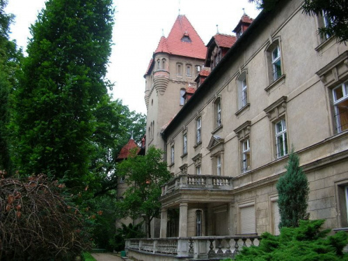 Osieczna (wielkopolskie) - zamek