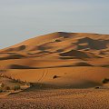 Sahara