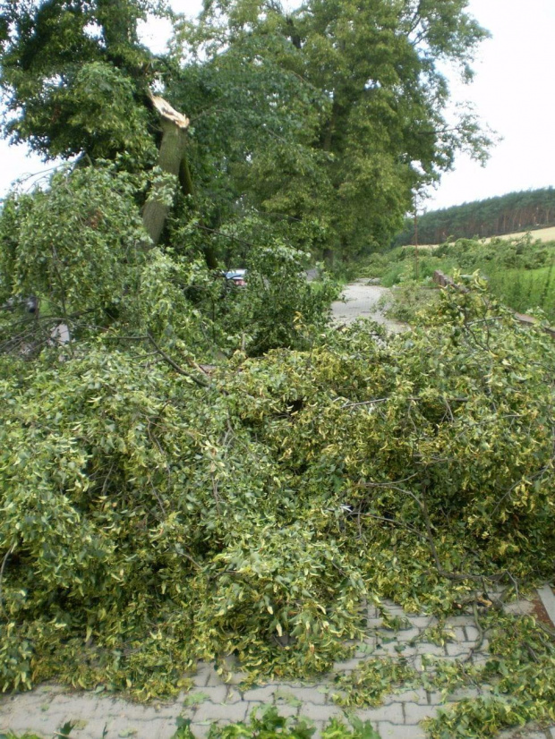 Między Strzelcami Wielkimi a Piaskami