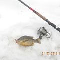 bass 19 cm cz.2
