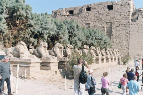 Wschodni Brzeg - starożytne Teby obecnie Karnak ; Sfinksy z głowami baranów. #Egipt