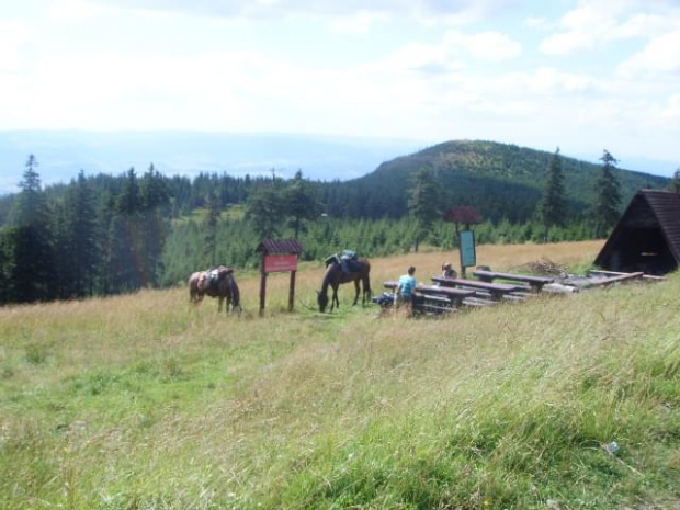 na Śnieżniku