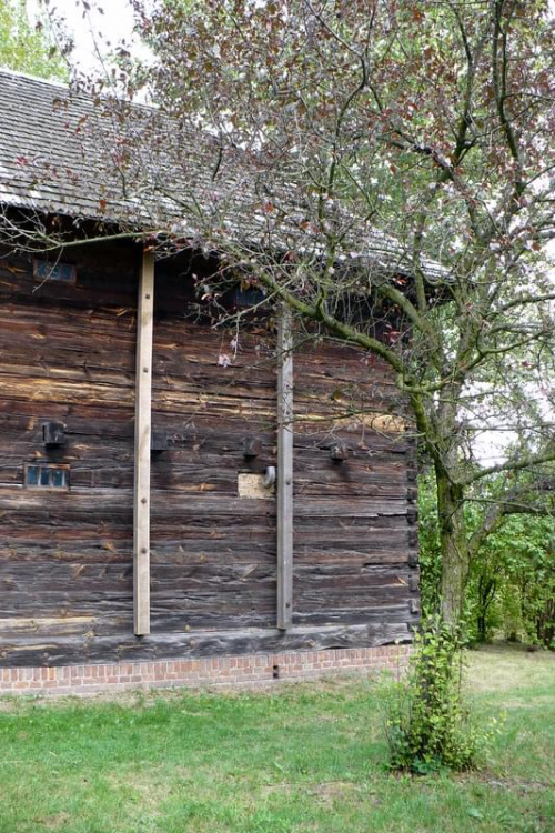 Muzeum Wsi Lubelskiej