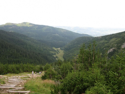 #DolinaGąsienicowa #Tatry