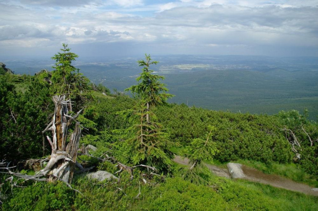 Widok ze Szrenicy #góry #Karkonosze #Szrenica