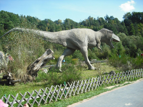 Bałtów-park JURAJSKI. #dinozaur #Bałtów #ParkJurajski