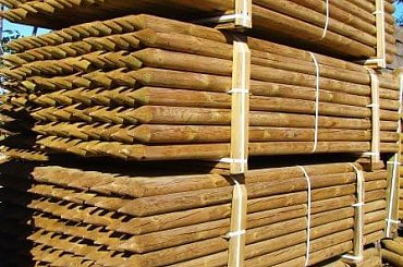 #palisada #palisady #kołki #zpd #marczak #lubomin #stanisławów #bale #baliki #sadzonki #drzewka