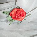 różyczki z krepiny #RóżyczkiZKrepiny #róże #artystyczne #bibułkarstwo #bukiety #dekoracje #kartki #komunia #krepina #kwiaty #NaStół #okolicznościowe #NaKażdąOkazję #piękne #oryginalne #prezenty #rękodzieło #upominki