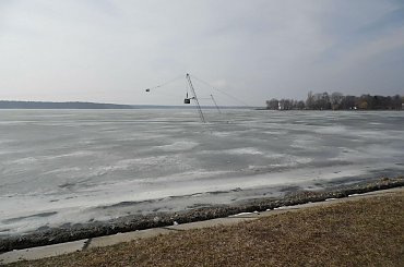 #lublin #ślimak #magooka #żaba #zwierzęta #samsung