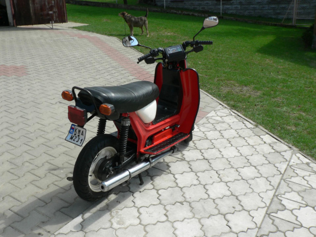 #Simson