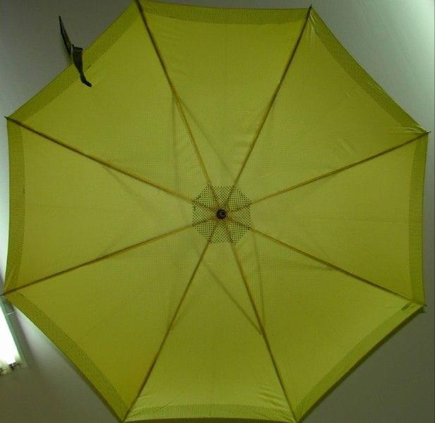 doppler parasol panterka