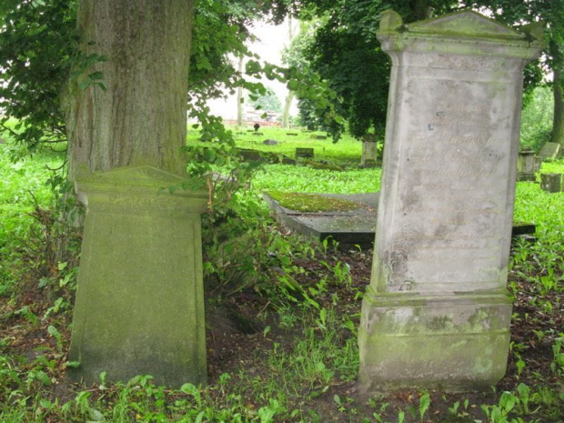 Fiszewo (warmińsko-mazurskie) - cmentarz mennonicki