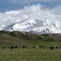 Wypas pod Pikiem Lenina #góry #pamir #kirgistan