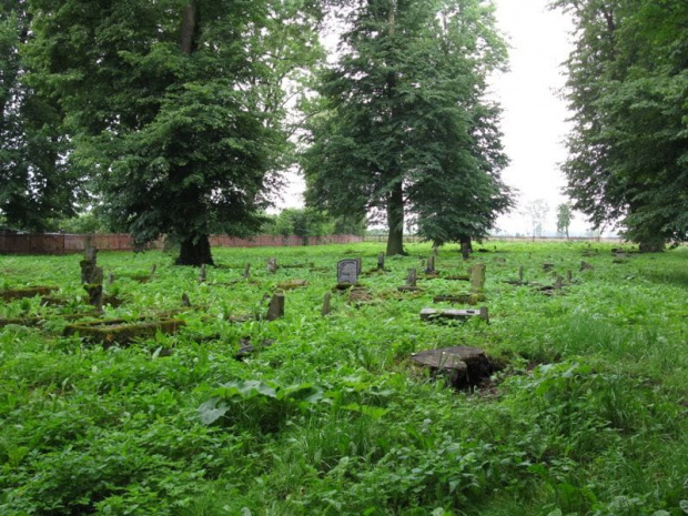 Fiszewo (warmińsko-mazurskie) - cmentarz mennonicki