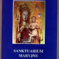 sanktuarium maryjne w brzesku szcz.jpg