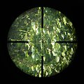 Bushnell Banner 6-24x40 Mil Dot