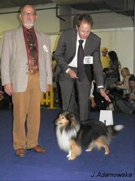 Światowa Wystawa Psów Rasowych Bratysława 2009