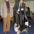 Światowa Wystawa Psów Rasowych Bratysława 2009