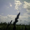 Lato 2009! #niebo #wieś #chmury
