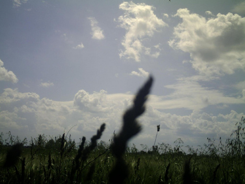 Lato 2009! #niebo #wieś #chmury
