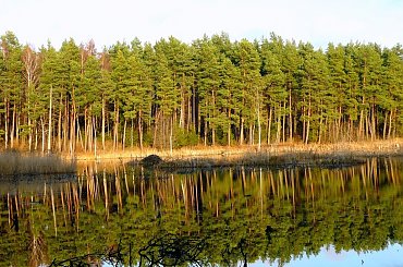 ODBICIA W WODZIE #ODBICIA