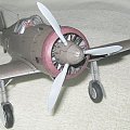 PZL.50a