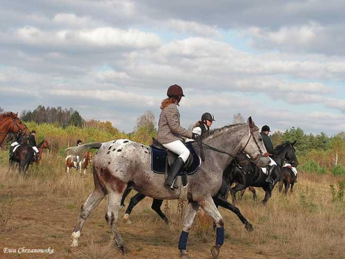 2008.10.18 Hubertus I