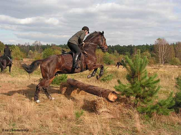 2008.10.18 Hubertus I